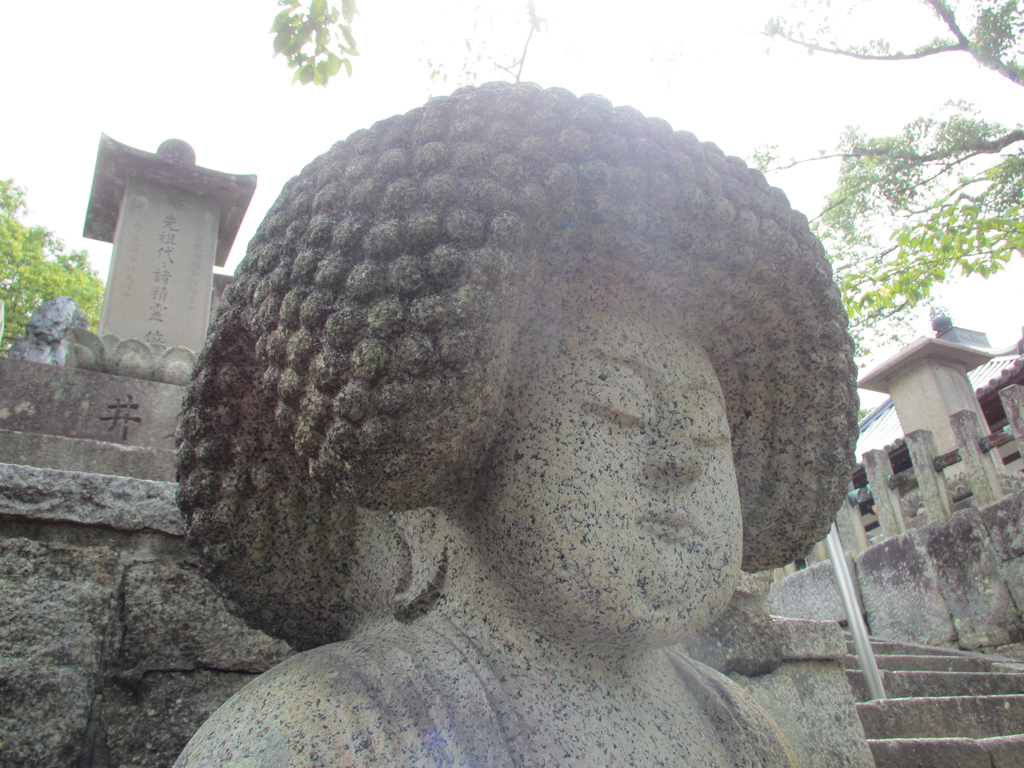 京都 螺髪が積み重なったアフロ大仏の 金戒光明寺 の御朱印 御朱印ランナーの聖地巡礼