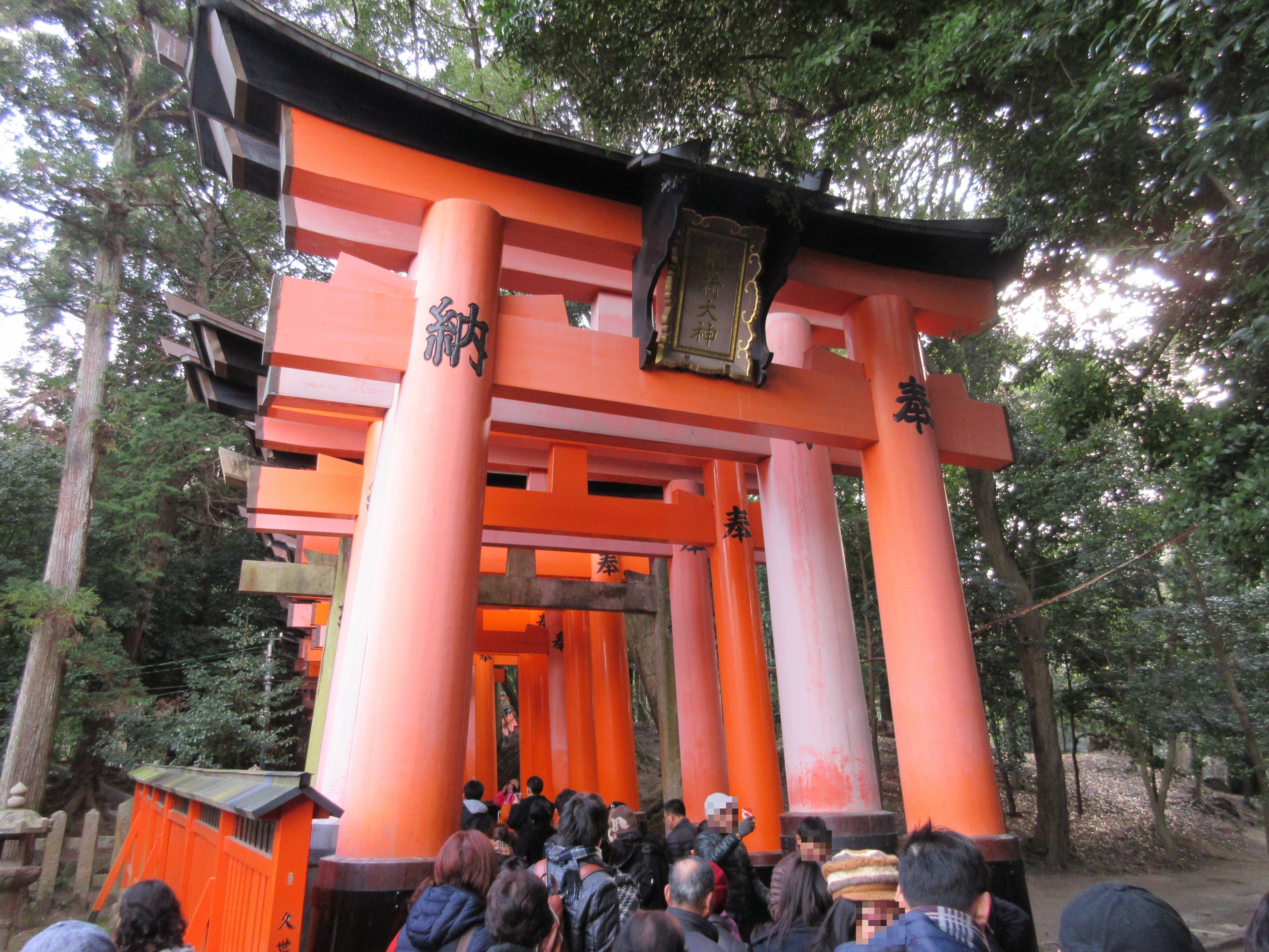 【京都】圧巻の千本鳥居が立ち並ぶ「伏見稲荷大社奥の院」の