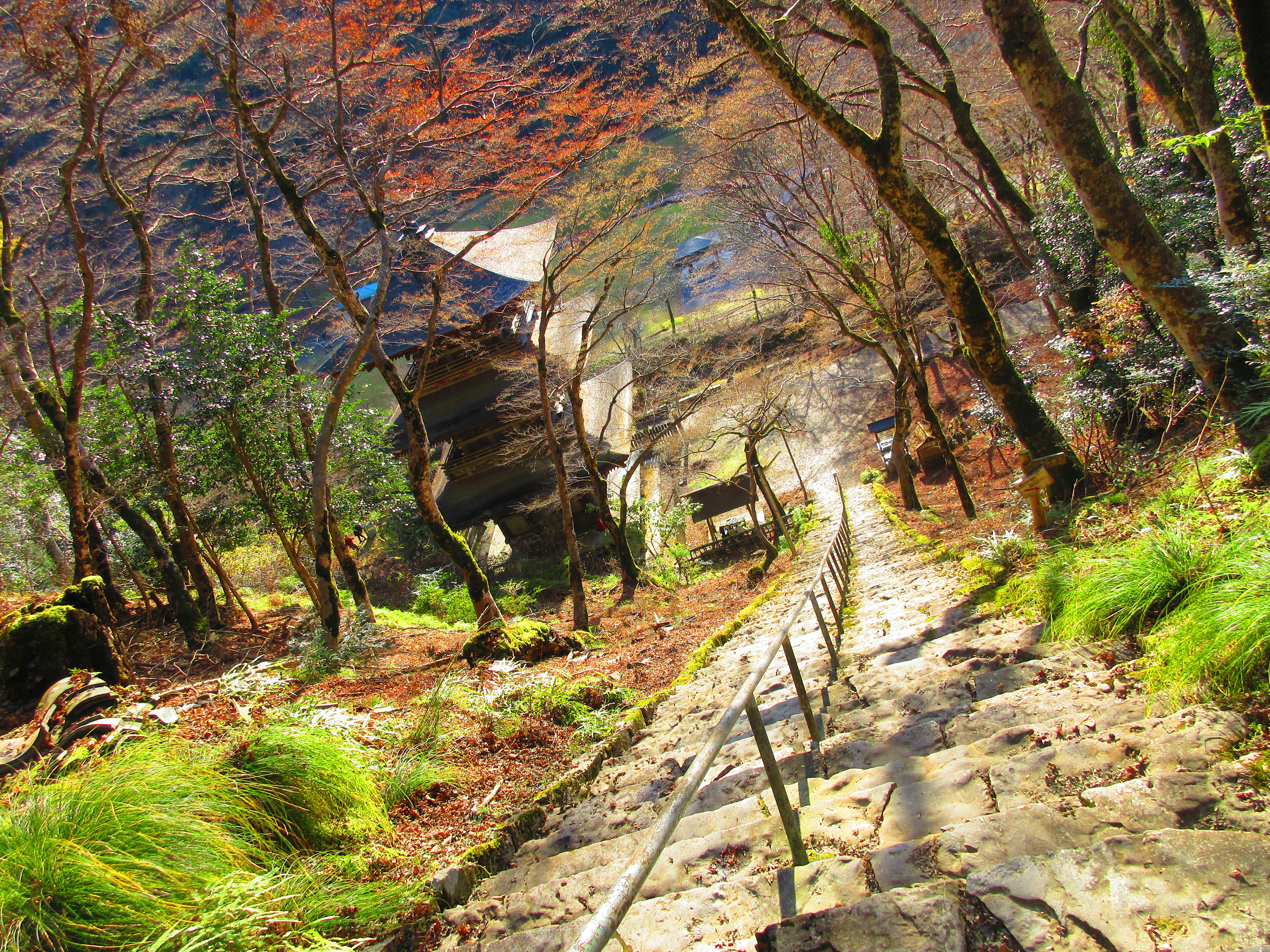 京都 本堂へ続く階段の高度感が凄い 関西花の寺 金剛院 の御朱印 御朱印ランナーの聖地巡礼